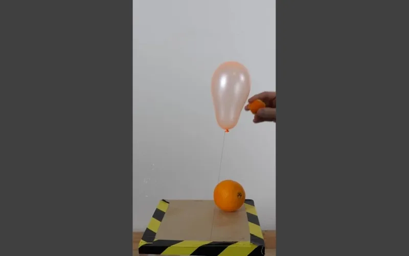A balloon and an orange