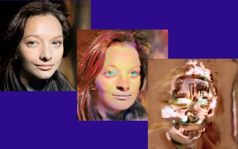 "Decomposition" of the face